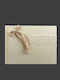 La Vista Wedding Wish Book Beige 27,5x20,5cm