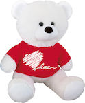 Plush Bear 50 cm