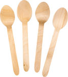 Spoon Disposable Wooden (100pcs)