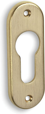 Convex Rosette - Door Escutcheon Gold