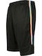 Side Taped Mesh Αθλητική Ανδρική Βερμούδα Black / Multicolor