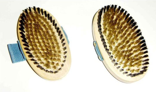 Pet Camelot Brush for Short-Haired Dogs for Coat Grooming Copper