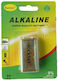 Alkaline Batteries 9V Rekter 9V