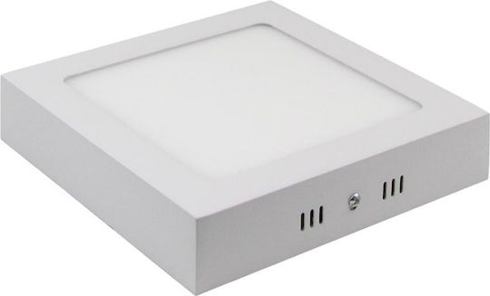 Lucas Platz Draußen LED Panel 24W mit Kaltweiß Licht 6400K