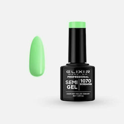 Elixir Semi Gel Semi-Permanent Nail Polish 1070...