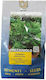 Primasem Seeds Parsley Giant 1kg