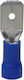Elvhx Insulated Quick Disconnect Terminal 1.5 Blue 1256