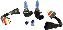 Carner Lamps HB3 Halogen Blue 2pcs Carner Lamps HB3 Halogen Blue 2pcs