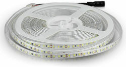 V-TAC Rezistentă la apă Bandă LED Alimentare 12V cu Lumină Alb Rece Lungime 5m și 120 LED-uri pe Metru SMD3528