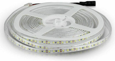 V-TAC Αδιάβροχη Ταινία LED Τροφοδοσίας 12V με Ψυχρό Λευκό Φως Μήκους 5m και 120 LED ανά Μέτρο Τύπου SMD3528