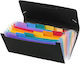 Viquel Clipboard Flexible with 12 plastic sleeves Slides Accordion for Paper A5 Black 1pcs