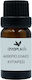 Anaplasis Anaplasis Zypresse Ätherisches Öl 10ml