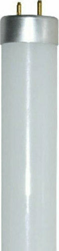 Elvhx Fluorescent Lamp for Socket G13 with Shape T8 30W