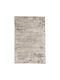 Isexan Kosmos 7833 Rug Rectangular Beige