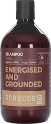 Benecos Energized And Grounded Shampoos Wiederaufbau/Ernährung für Alle Haartypen 1x500ml