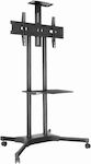 TVY-1491 TV Mount Floor up to 65" and 45kg