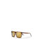 Chpo Bruce Sunglasses with Turtle Brown Tartaruga Plastic Frame and Brown Polarized Lens 16132HD