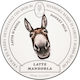 Extro Cosmesi Latte Mandorla Creme Rasieren 150ml