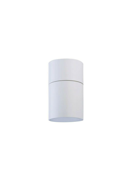 VK Lighting VK/01106/CE/W Outdoor Ceiling Spot GU10 in White Color 75169-343997