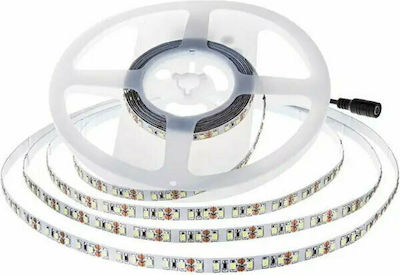 V-TAC Bandă LED Alimentare 24V cu Lumină Alb Rece Lungime 10m și 120 LED-uri pe Metru SMD2835