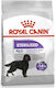 Royal Canin Maxi Sterilised 12kg Dry Food for Adult Neutered Large Breed Dogs with Poultry
