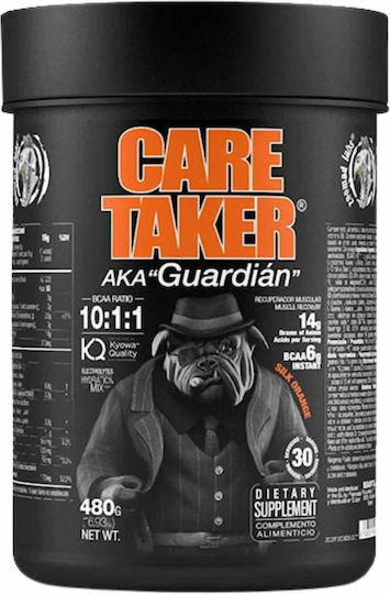 Zoomad Labs Care Taker 480gr Seide Orange