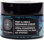 Simply Herbal Repair - Regeneration Cream For Feet & Heels Moisturizing Cream Regeneration for Cracked Heels 50ml