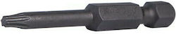 King Tony Screwdriver Bit Torx with Size T40 Torx
