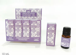 General Trade Aromatic Oil Lavender 10ml