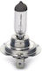 Osram Lamps Car Original 3200 H7 Halogen 3300K Warm White 12V 55W 1pcs /OA