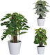 Plantă Artificială în Ghiveci Mic Alb 25cm Zaros