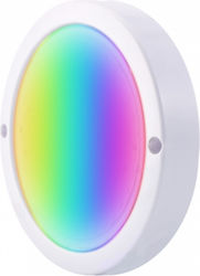 Elvhx Montat Pe Perete Proiector Electric 10W Elvhx Montat Pe Perete Proiector Electric 10W