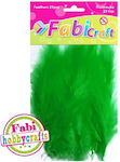 Fabi Green Craft Wing Set of 25pcs