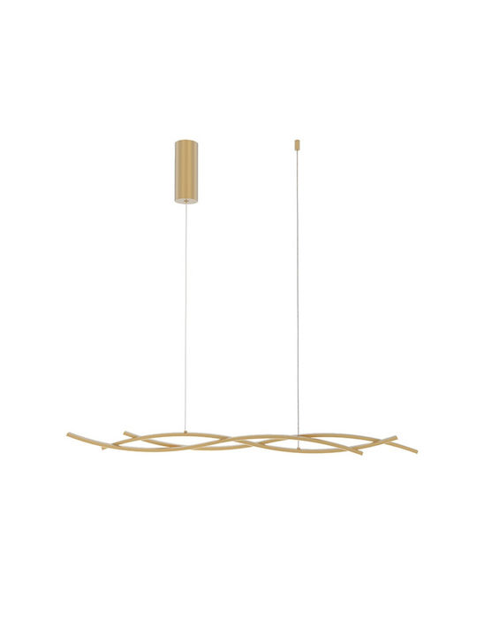 Fan Europe Pendant Lamp with Built-in LED Gold