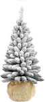 JK Home Decoration Christmas Decorative Snowy Tree 60cm Green