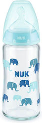 Nuk Glasflasche First Choice Plus Temperature Control Gegen Koliken mit Silikonsauger für 0-6 Monate Ciell Elefanten 240ml 1Stück