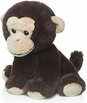 Plush Little Monkey 20 cm