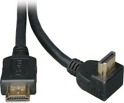 Intronics AK367 Intronics AK367