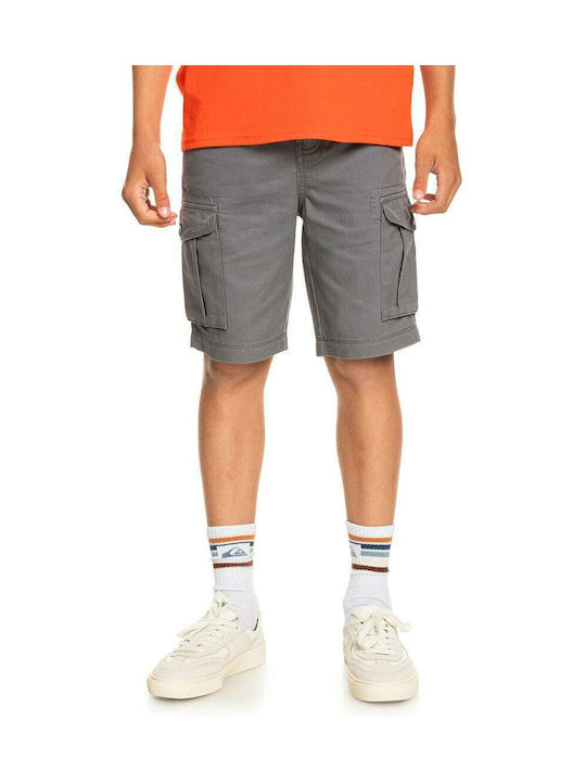 Quiksilver Kids Shorts/Bermuda Fabric Gray