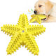 Pet Interest Squeaker Starfish Zahnpflege Zahnb...