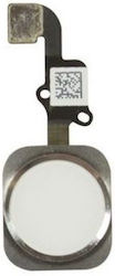 Flex Cable with Home Button for iPhone 6 PlusiPhone 6/6 Plus