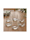 Bohemia Pavo Set Pahare De Sampanie Cu Picior Din Cristal Platin 290ml 6 Bucăți