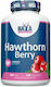 Haya Labs Hawthorn Berry 300мг 120 капси