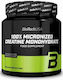 Biotech USA 100% Micronized Creatine Monohydrate Ungesüßt