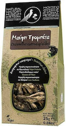 Mouseio Fysikis Istorias Meteoron Pilze Schwarz...