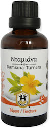 Herbstore Tincture Damiana Turnera Tincture 50ml