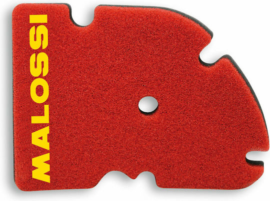 Malossi Motorcycle Air Filter for Vespa GTS 250 / GTS 300