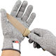 Gloves for Work Gray Anticopyright