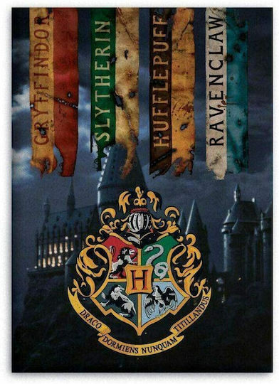 Aymax Pătură Pătuț Harry Potter 100x140 cm