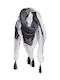 Ble Resort Collection Women's Scarf White